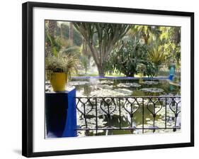 Majorelle Gardens, Marrakech (Marrakesh), Morocco, North Africa, Africa-Bruno Morandi-Framed Photographic Print