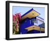 Majorelle Gardens, Marrakesh, Morocco, North Africa, Africa-Frank Fell-Framed Photographic Print