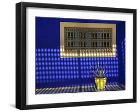 Majorelle Gardens, Marrakesh, Morocco, North Africa, Africa-Frank Fell-Framed Photographic Print