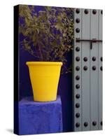 Majorelle Gardens, Marrakesh, Morocco, North Africa, Africa-Frank Fell-Stretched Canvas