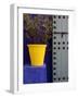 Majorelle Gardens, Marrakesh, Morocco, North Africa, Africa-Frank Fell-Framed Photographic Print