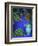 Majorelle Gardens, Marrakesh, Morocco, North Africa-Bruno Morandi-Framed Photographic Print