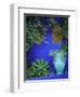 Majorelle Gardens, Marrakesh, Morocco, North Africa-Bruno Morandi-Framed Photographic Print