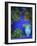 Majorelle Gardens, Marrakesh, Morocco, North Africa-Bruno Morandi-Framed Photographic Print