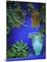 Majorelle Gardens, Marrakesh, Morocco, North Africa-Bruno Morandi-Mounted Photographic Print