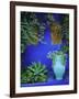 Majorelle Gardens, Marrakesh, Morocco, North Africa-Bruno Morandi-Framed Photographic Print