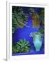 Majorelle Gardens, Marrakesh, Morocco, North Africa-Bruno Morandi-Framed Photographic Print