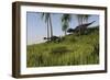 Majungasaurus Chasing a Gigantoraptor-null-Framed Art Print