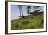 Majungasaurus Chasing a Gigantoraptor-null-Framed Art Print