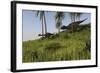 Majungasaurus Chasing a Gigantoraptor-null-Framed Art Print