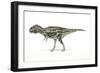 Majungasaurus Dinosaur, Artwork-null-Framed Photographic Print