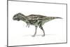 Majungasaurus Dinosaur, Artwork-null-Mounted Photographic Print