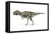 Majungasaurus Dinosaur, Artwork-null-Framed Stretched Canvas