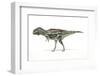 Majungasaurus Dinosaur, Artwork-null-Framed Photographic Print