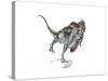 Majungasaurus Dinosaur on White Background-null-Stretched Canvas