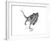 Majungasaurus Dinosaur on White Background-null-Framed Art Print