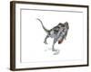 Majungasaurus Dinosaur on White Background-null-Framed Art Print