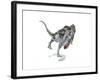 Majungasaurus Dinosaur on White Background-null-Framed Art Print