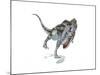 Majungasaurus Dinosaur on White Background-null-Mounted Art Print