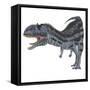 Majungasaurus Dinosaur, White Background-Stocktrek Images-Framed Stretched Canvas