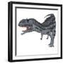 Majungasaurus Dinosaur, White Background-Stocktrek Images-Framed Art Print