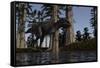 Majungasaurus Hunting for Food in a Prehistoric Environment-null-Framed Stretched Canvas