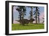 Majungasaurus Running across a Grassy Field-null-Framed Art Print