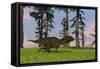 Majungasaurus Running across a Grassy Field-null-Framed Stretched Canvas