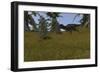 Majungasaurus Running across a Grassy Field-null-Framed Art Print