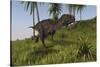 Majungasaurus Running across a Grassy Field-null-Stretched Canvas