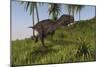 Majungasaurus Running across a Grassy Field-null-Mounted Art Print