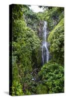 Makahiku Falls on the East Coast of Maui, Hawaii, United States of America, Pacific-Michael Runkel-Stretched Canvas