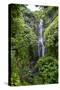 Makahiku Falls on the East Coast of Maui, Hawaii, United States of America, Pacific-Michael Runkel-Stretched Canvas