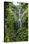Makahiku Falls on the East Coast of Maui, Hawaii, United States of America, Pacific-Michael Runkel-Stretched Canvas