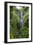 Makahiku Falls on the East Coast of Maui, Hawaii, United States of America, Pacific-Michael Runkel-Framed Photographic Print