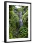 Makahiku Falls on the East Coast of Maui, Hawaii, United States of America, Pacific-Michael Runkel-Framed Photographic Print