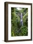 Makahiku Falls on the East Coast of Maui, Hawaii, United States of America, Pacific-Michael Runkel-Framed Photographic Print