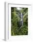 Makahiku Falls on the East Coast of Maui, Hawaii, United States of America, Pacific-Michael Runkel-Framed Photographic Print