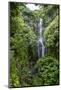Makahiku Falls on the East Coast of Maui, Hawaii, United States of America, Pacific-Michael Runkel-Mounted Photographic Print