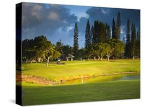 Makai Golf Course, Kauai, Hawaii, USA-Micah Wright-Stretched Canvas