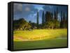 Makai Golf Course, Kauai, Hawaii, USA-Micah Wright-Framed Stretched Canvas