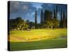 Makai Golf Course, Kauai, Hawaii, USA-Micah Wright-Stretched Canvas