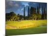 Makai Golf Course, Kauai, Hawaii, USA-Micah Wright-Mounted Photographic Print