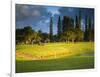 Makai Golf Course, Kauai, Hawaii, USA-Micah Wright-Framed Photographic Print