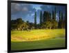 Makai Golf Course, Kauai, Hawaii, USA-Micah Wright-Framed Photographic Print