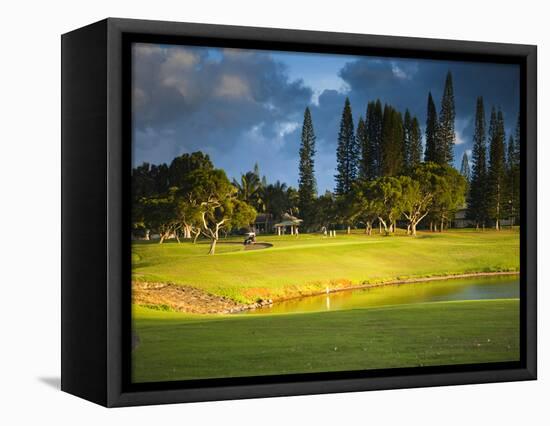 Makai Golf Course, Kauai, Hawaii, USA-Micah Wright-Framed Stretched Canvas