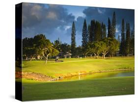 Makai Golf Course, Kauai, Hawaii, USA-Micah Wright-Stretched Canvas