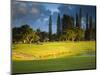 Makai Golf Course, Kauai, Hawaii, USA-Micah Wright-Mounted Photographic Print