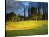 Makai Golf Course, Kauai, Hawaii, USA-Micah Wright-Stretched Canvas