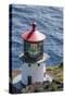 Makapu'U Point Lighthouse, Oahu, Hawaii, United States of America, Pacific-Michael DeFreitas-Stretched Canvas